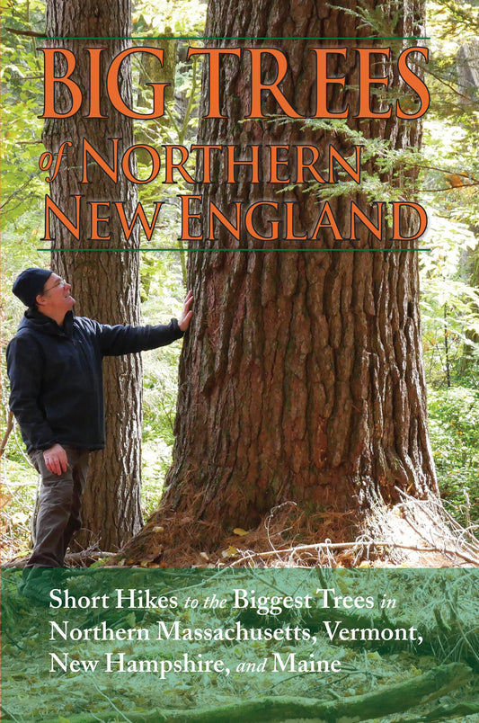 Big Trees of Northern New England